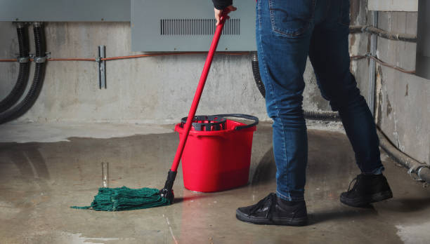 Best Ceiling water damage repair  in Oaklawn Sunview, KS