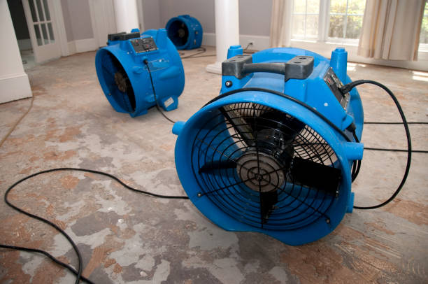Best Sewage cleanup and water damage restoration  in Oaklawn Sunview, KS