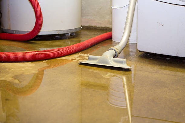 Water damage restoration mold remediation in KS