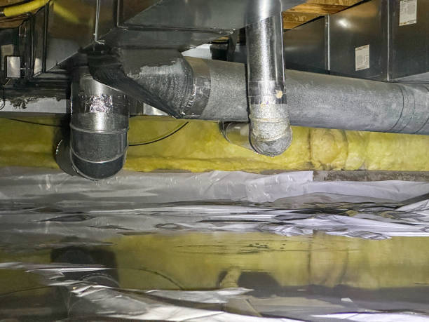 Best Water damage contractors near me  in Oaklawn Sunview, KS