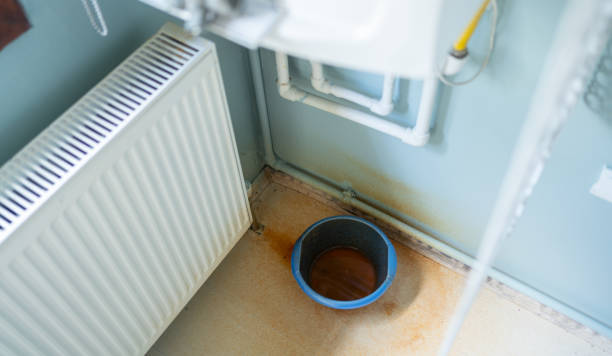 Best Flood restoration services  in Oaklawn Sunview, KS